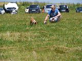 Golden Rabbit European Sandtrack-Derby Th. Ernst (192)